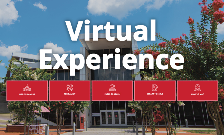 Screenshot of Virtual Experience Platform