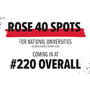 rose 40 spots graphic