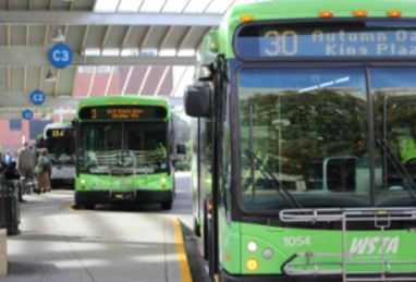 buses at a bus station