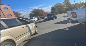 vehicles in a parking lot