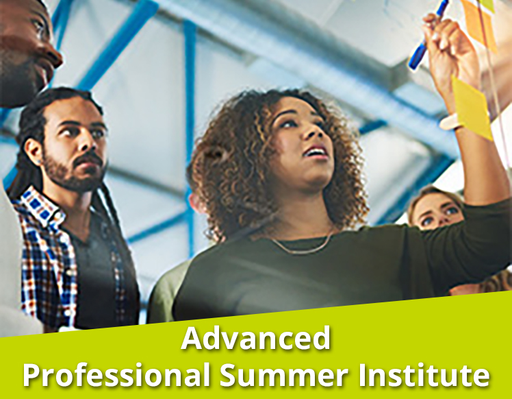 advanced professional summer institute