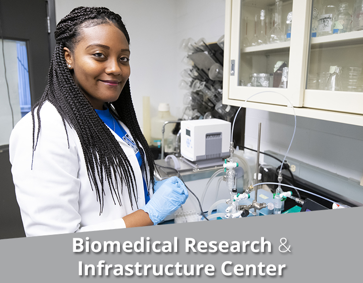 Biomedical Research and Infrastructure Center