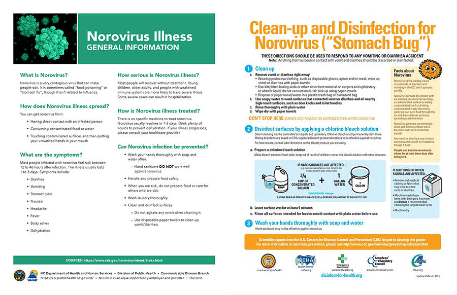 A norovirus fact sheet, links to an accessible PDF document